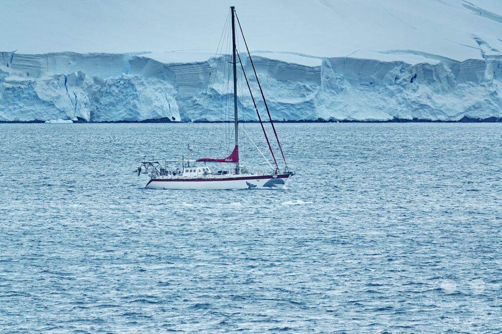 Antarktis - Goudier Island