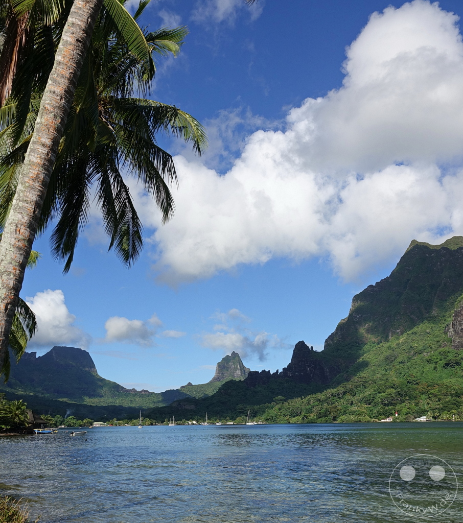 French Polynesia - Moorea - Cooks Bay