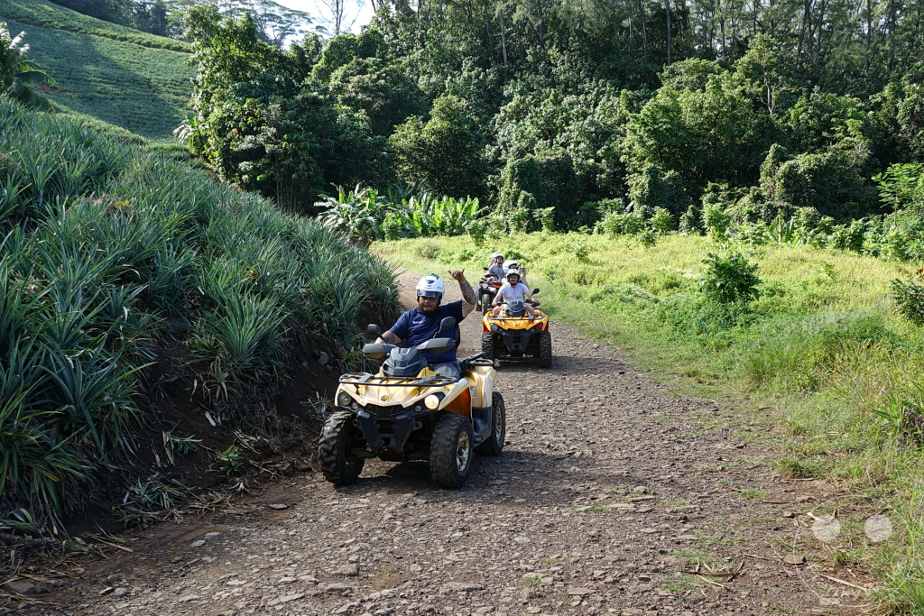 French Polynesia - Moorea - Buggy