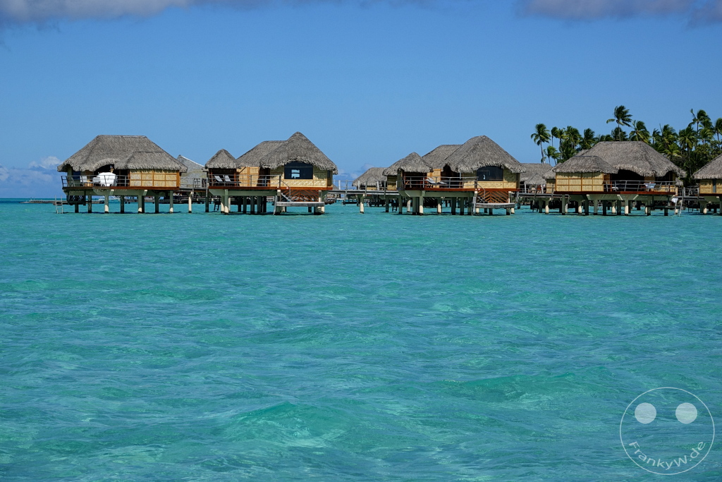 French Polynesia - Tahaa - Motu Tautau - Coral Garden