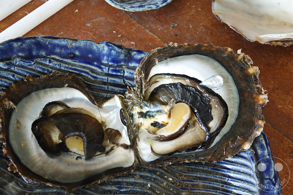 French Polynesia - Huahine Pearl Farm