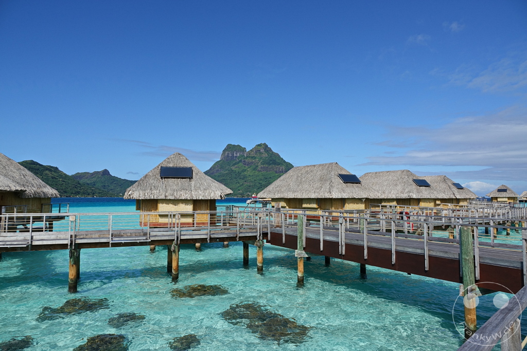 French Polynesia - Bora-Bora - Pearl Beach Resort