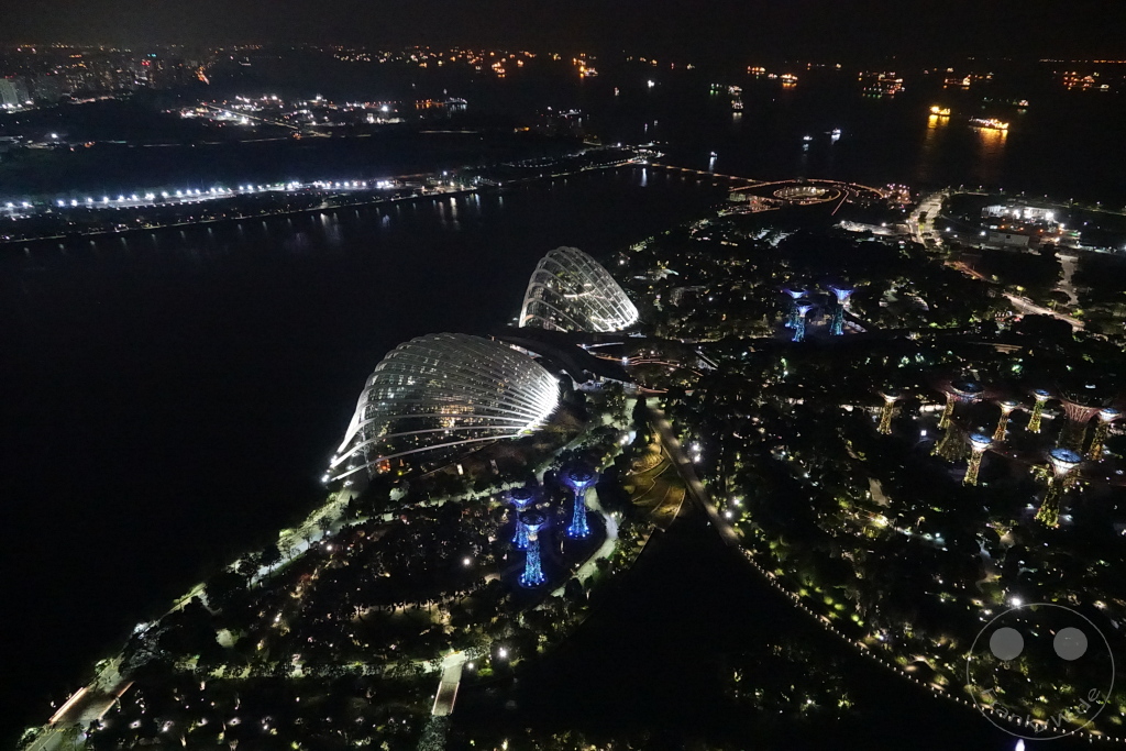 Singapur - Gardens by the bay - Flower Dome - Cloud Forest by ni