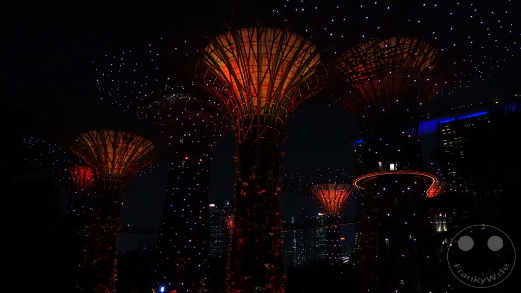 Singapur - Gardens by the bay - Supertree Grove - Garden Rhapso