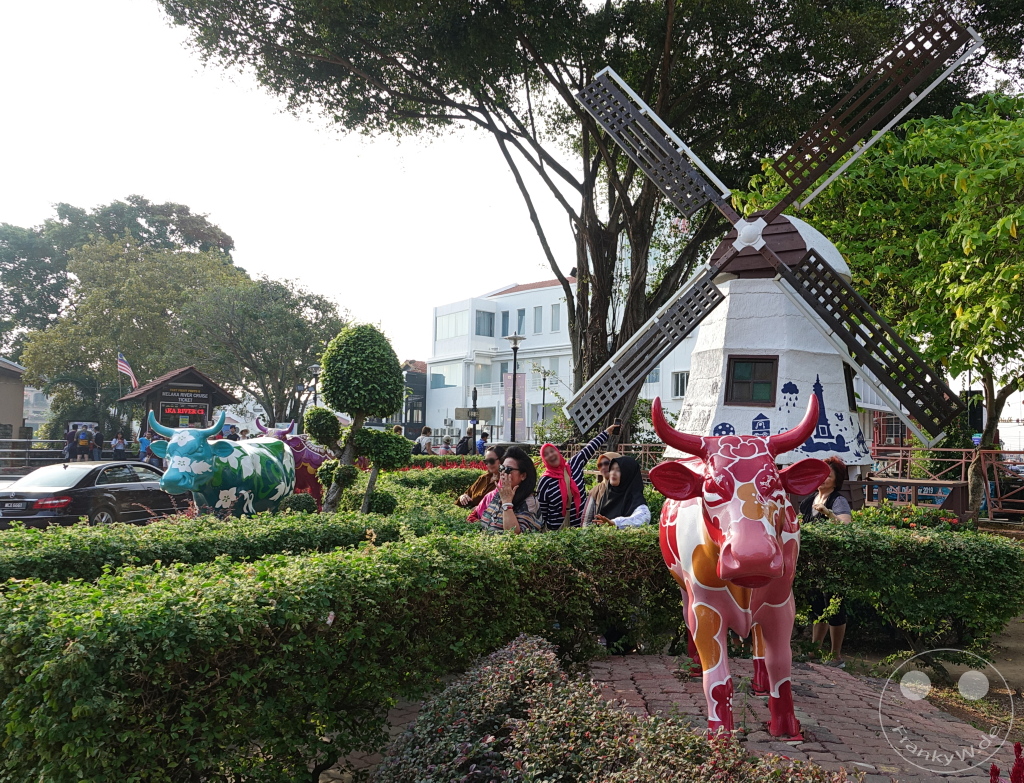 Melaka - Malaysia - Dutch Square (Red Square) - Windmill - cows
