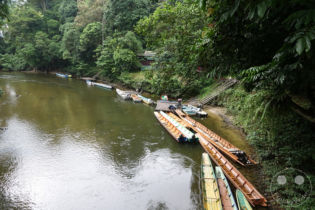 Gunung Mulu National Park - Borneo - Malaysia - Boat tour