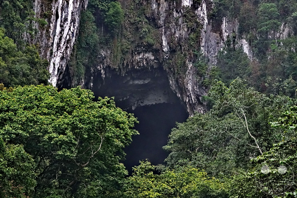 Gunung Mulu National Park - Borneo - Malaysia - Deer Cave