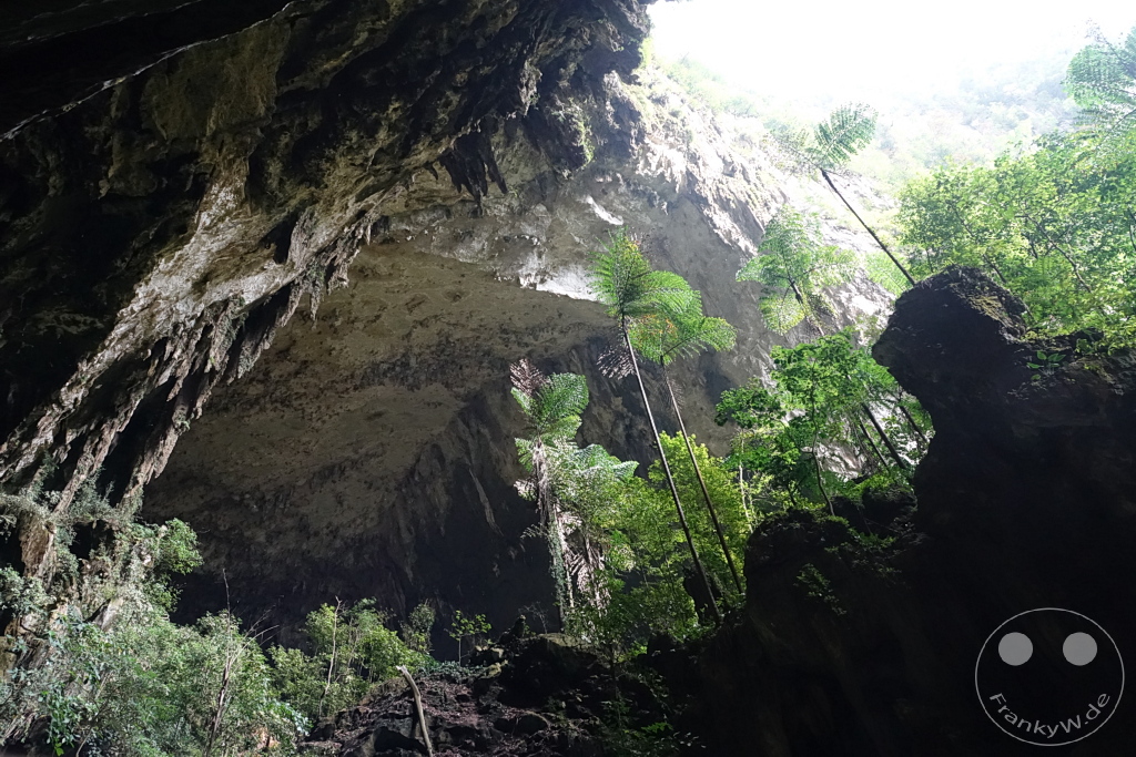 Gunung Mulu National Park  - Borneo - Malaysia - Deer Cave