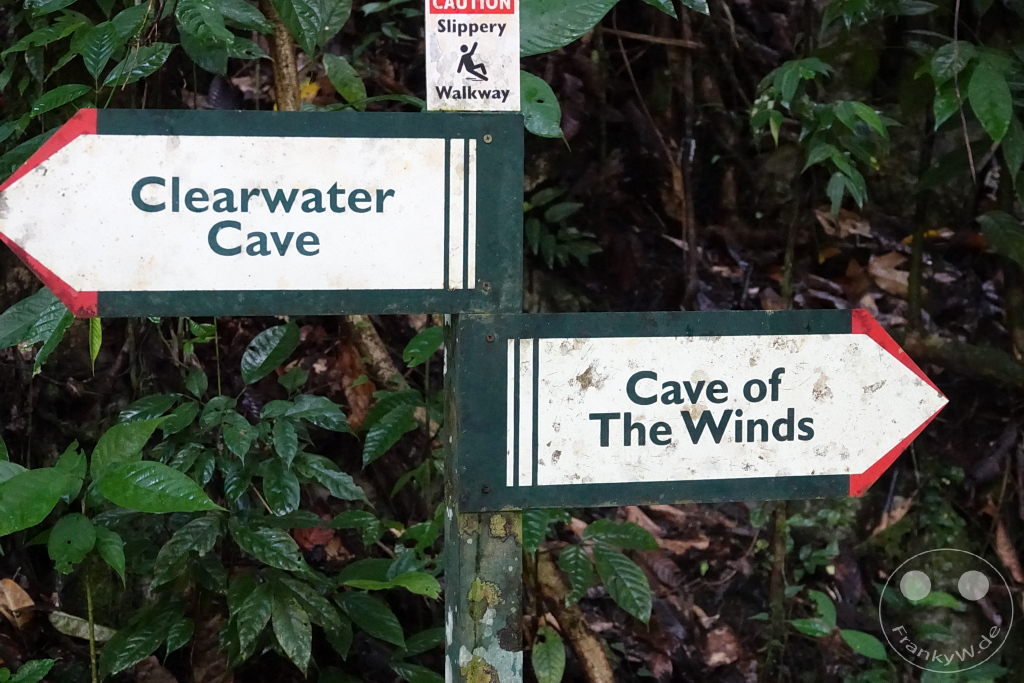 Gunung Mulu National Park - Borneo - Malaysia - Clearwater Cave