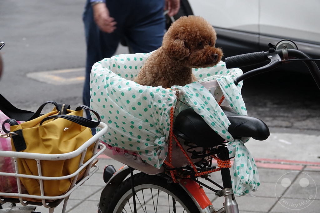 Taiwan - Taipeh - Dihua-Street