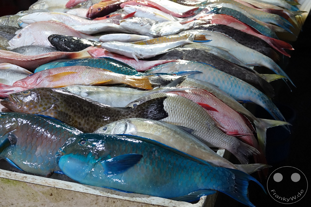 Pasar Besar Kota Kinabalu - Borneo - Malaysia - Fish Market