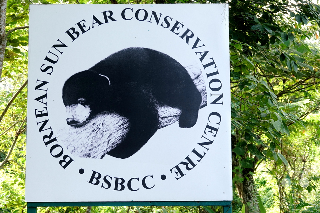 Sepilok - Borneo - Malaysia - Sun Bear Conservation Centre