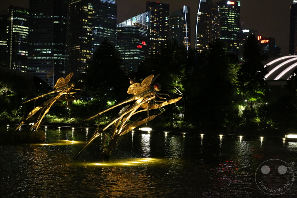 Singapur - Gardens by the bay - Dragonfly Lake