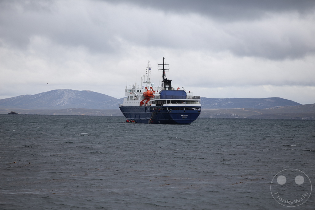 Falklandinseln (Malvinen) - Carcass Island