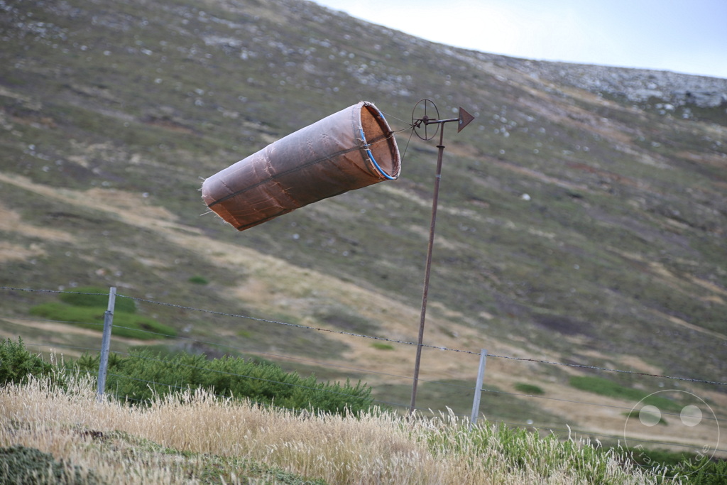 Falklandinseln (Malvinen) - Carcass Island