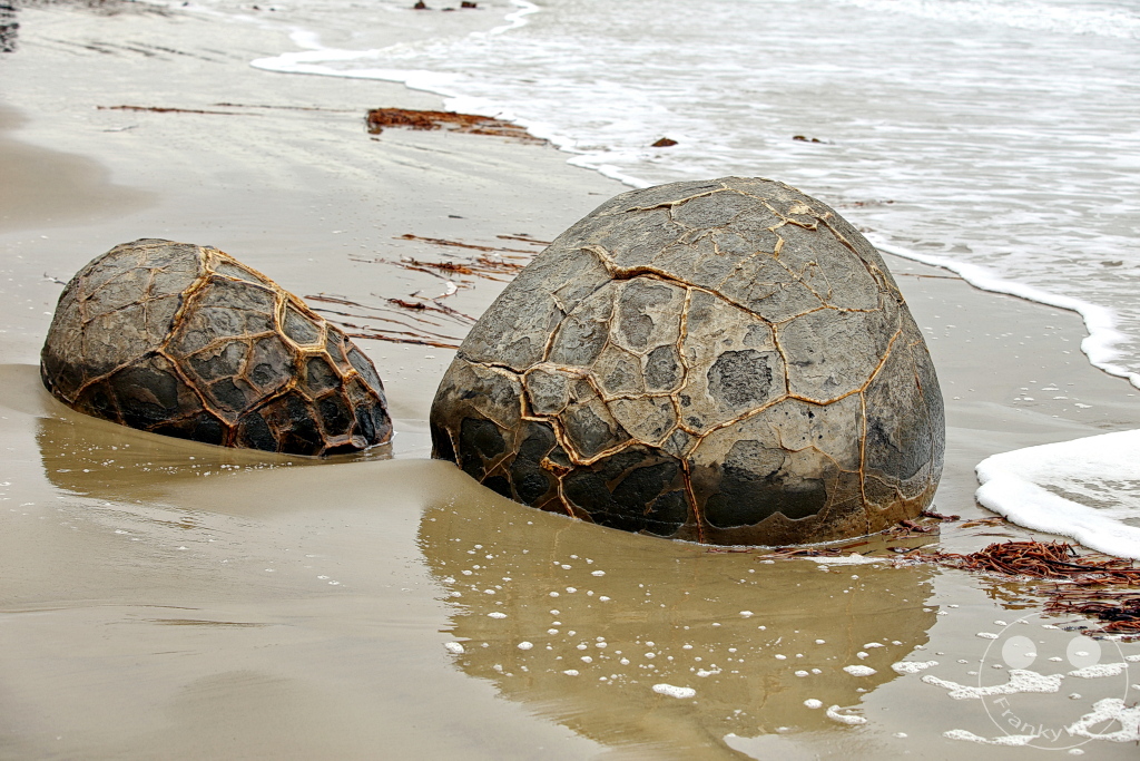 New Zealand South Island - Moeraki Boulders