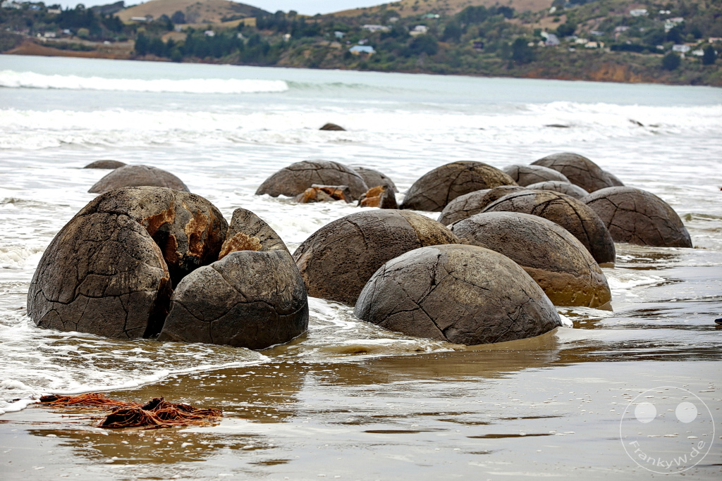 New Zealand South Island - Moeraki Boulders