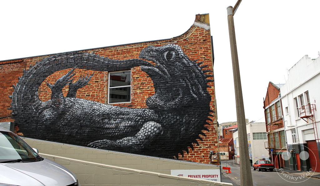 New Zealand South Island - Dunedin - Street Art
