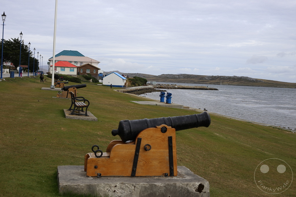 Falklandinseln (Malvinen) - East Falkland