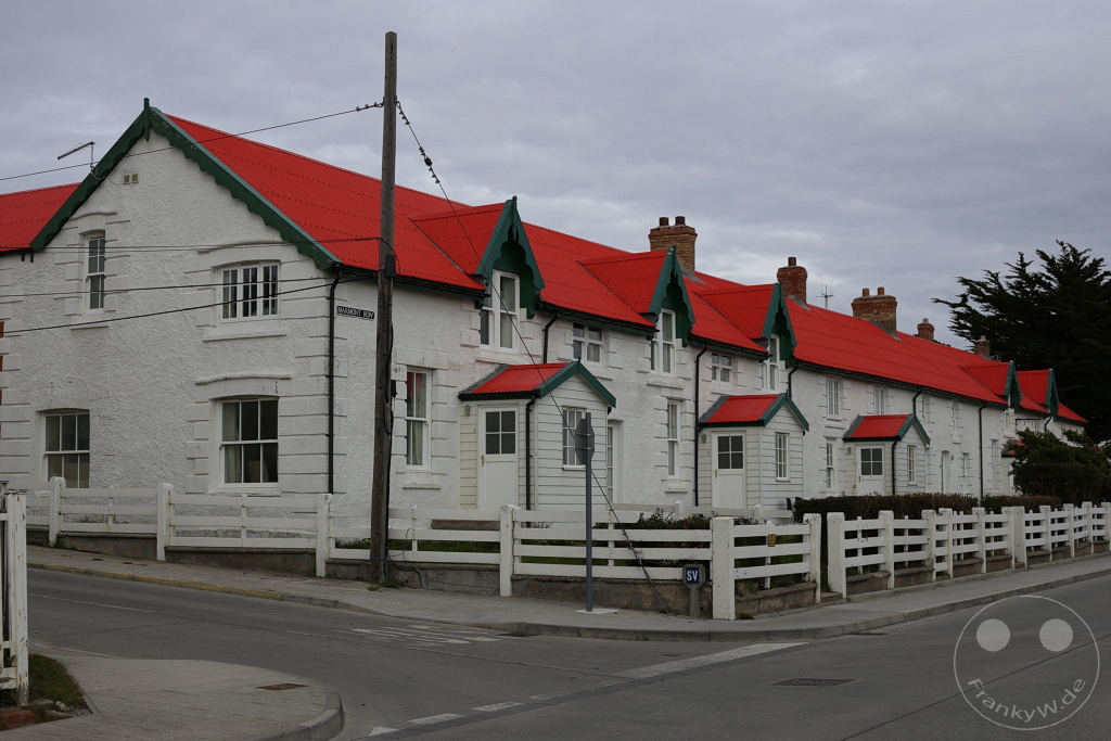 Falklandinseln (Malvinen) - East Falkland