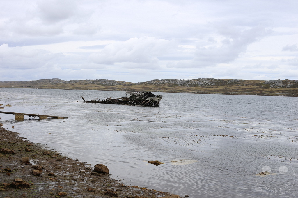 Falklandinseln (Malvinen) - East Falkland