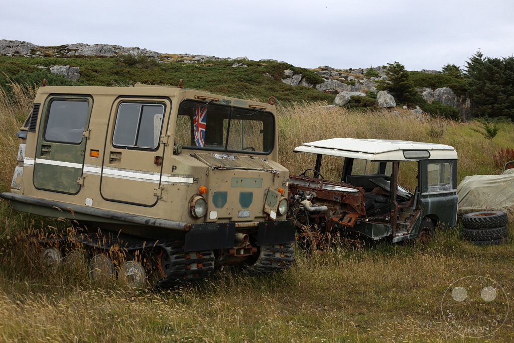 Falklandinseln (Malvinen) - East Falkland