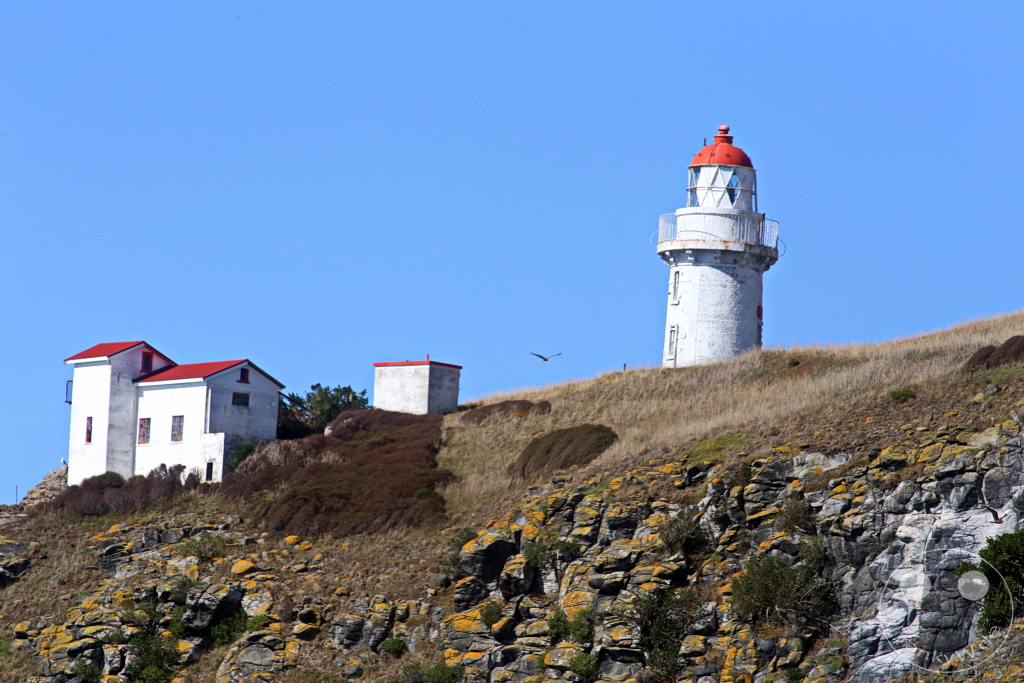 New Zealand South Island - Otago Halbinsel - Lighthouse