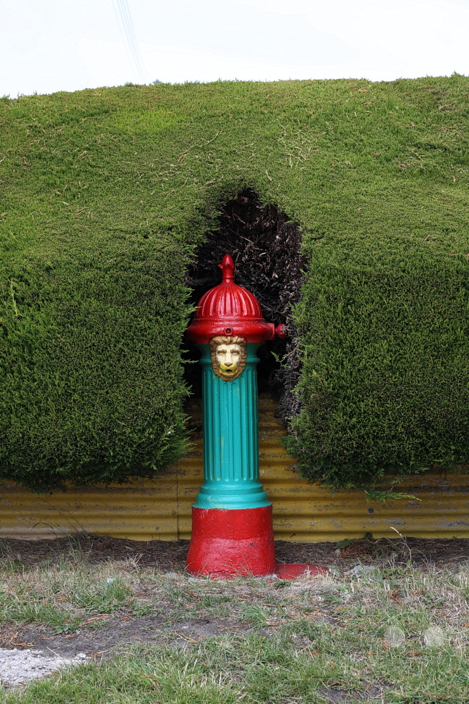 Falklandinseln (Malvinen) - East Falkland