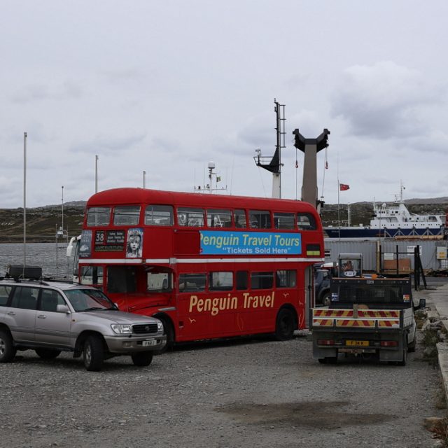 Falklandinseln (Malvinen) - East Falkland