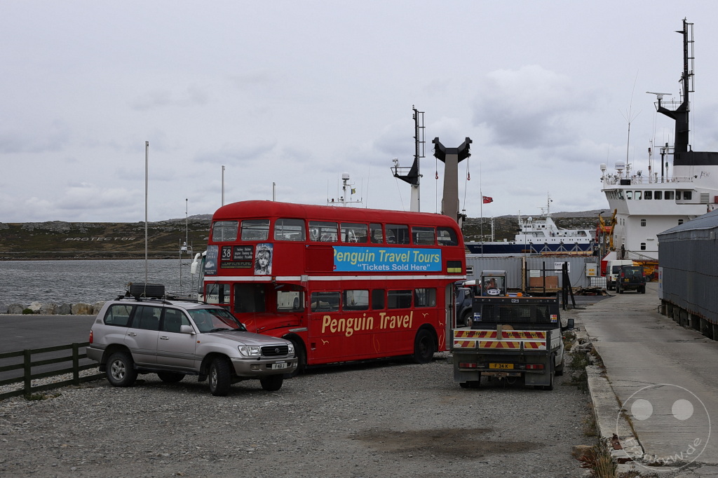 Falklandinseln (Malvinen) - East Falkland