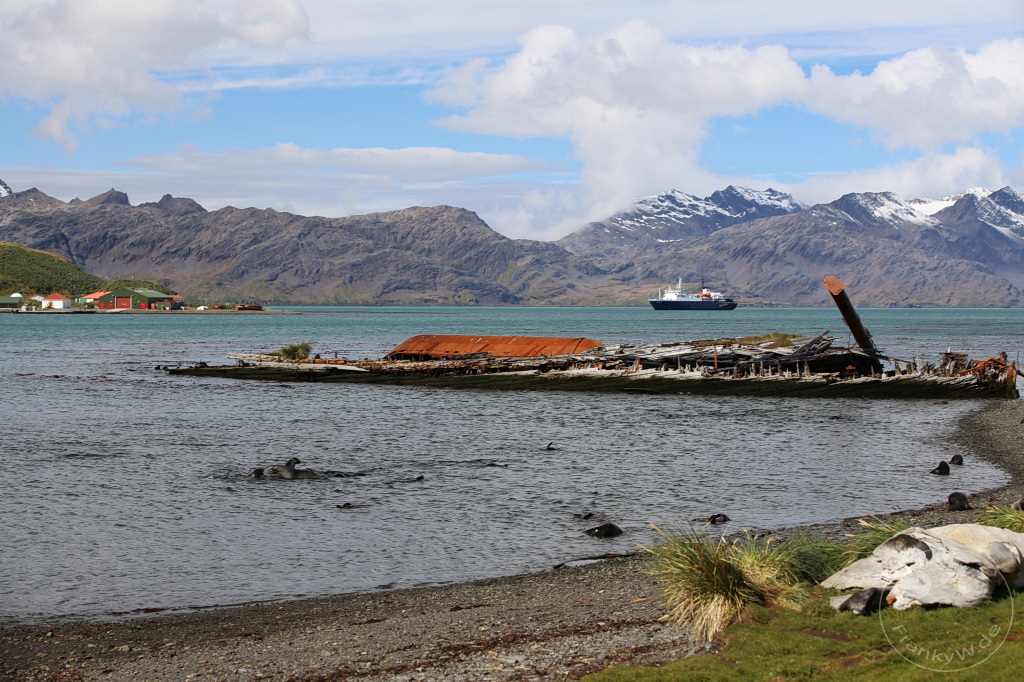 Südgeorgien und Südliche Sandwichsinseln - Grytviken