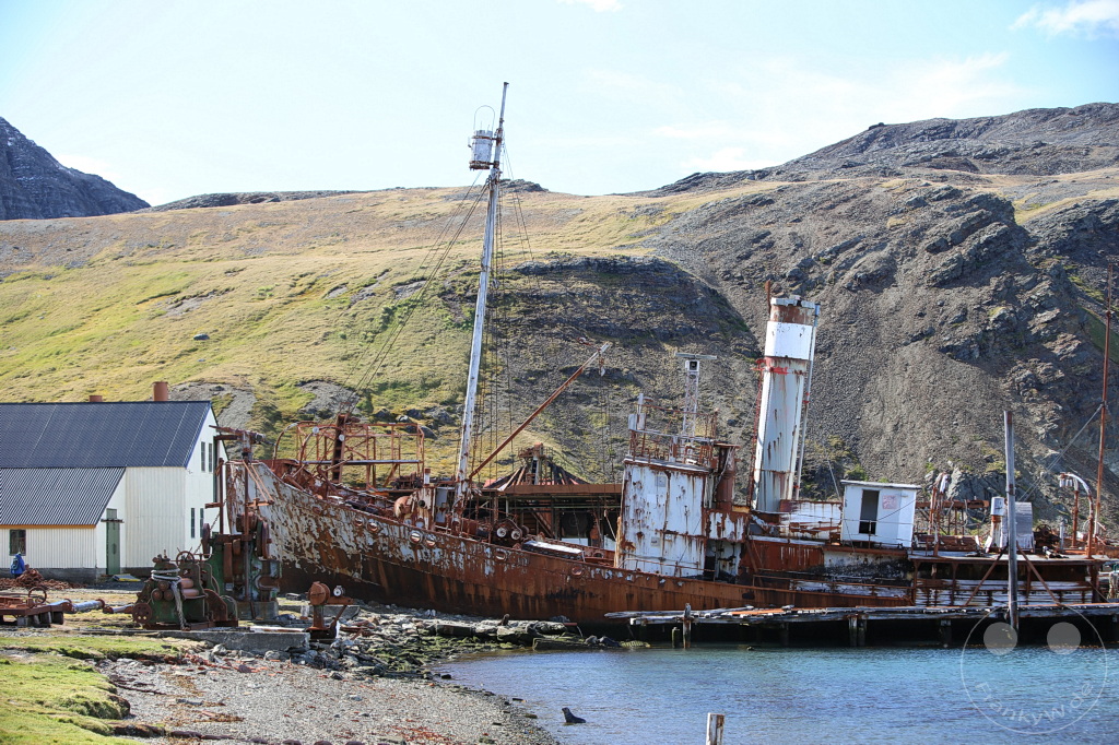 Südgeorgien und Südliche Sandwichsinseln - Grytviken