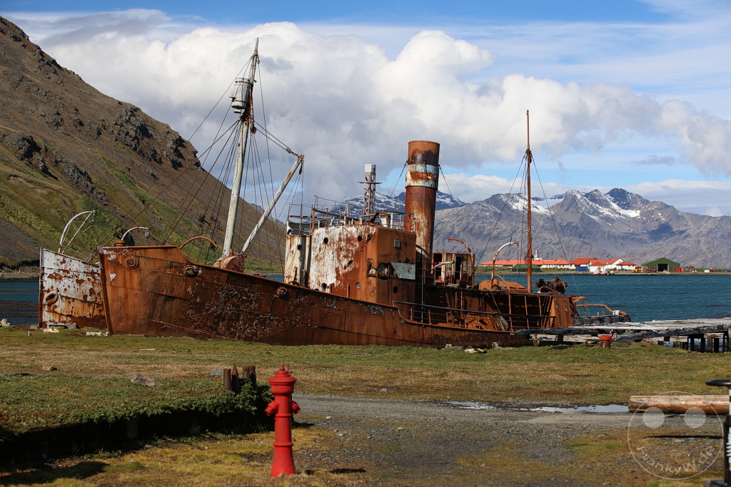 Südgeorgien und Südliche Sandwichsinseln - Grytviken