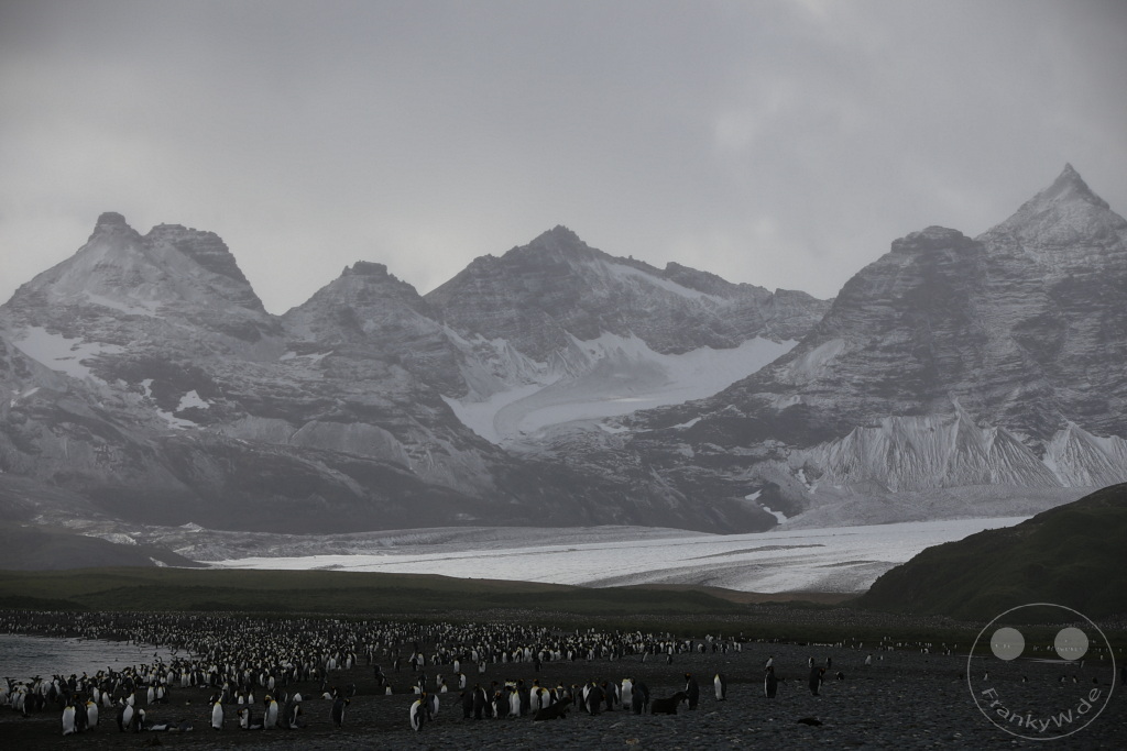 Südgeorgien und Südliche Sandwichsinseln - Sunset-Fjord
