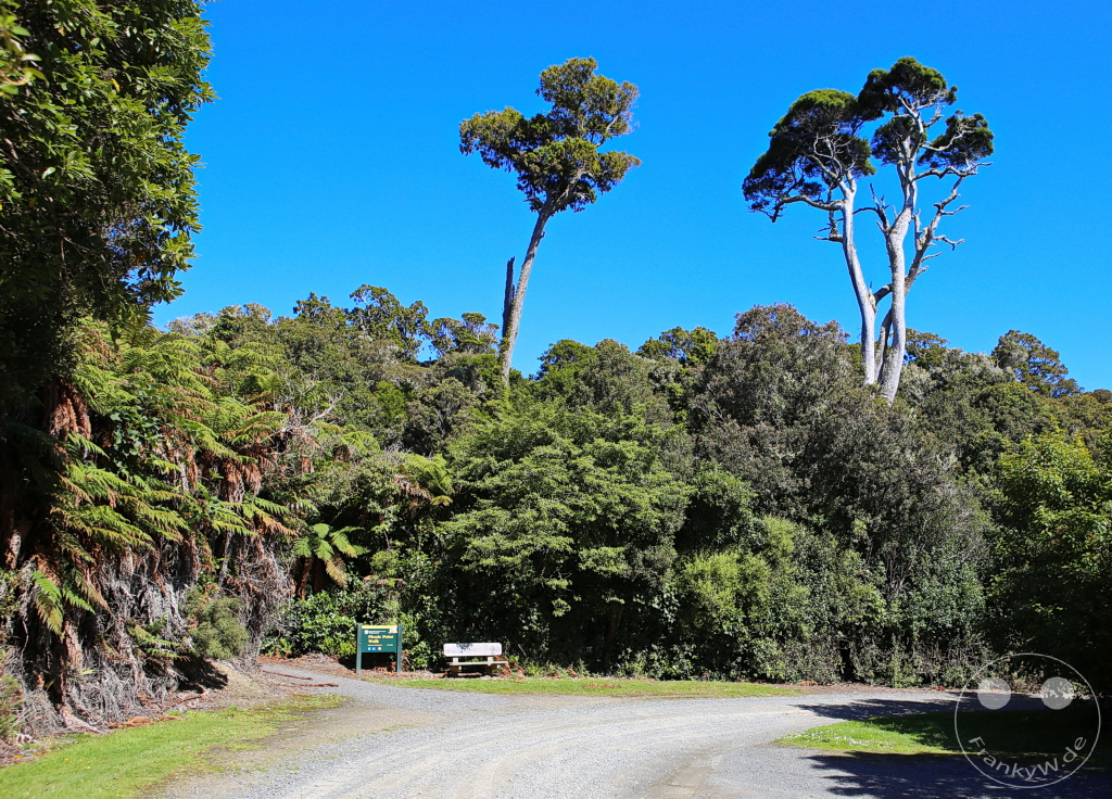 New Zealand South Island - Papatowai