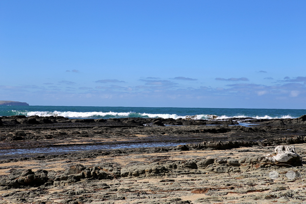 New Zealand South Island - Papatowai