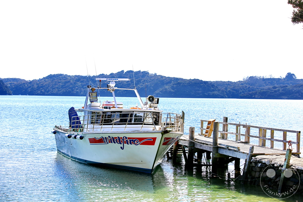 New Zealand South Island - Ulva Island