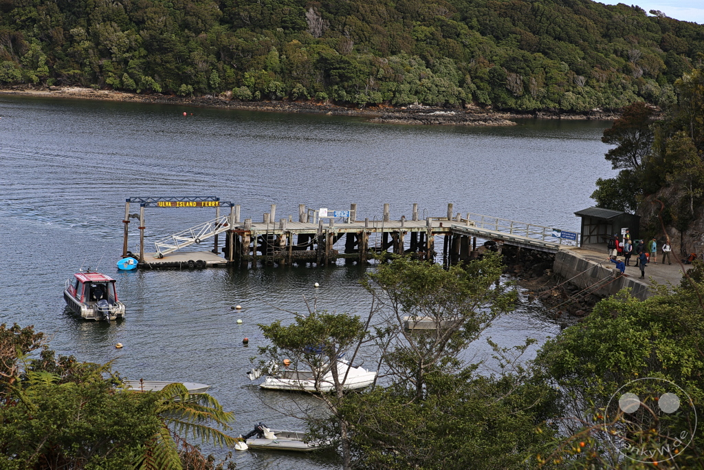 New Zealand South Island - Stewart Island