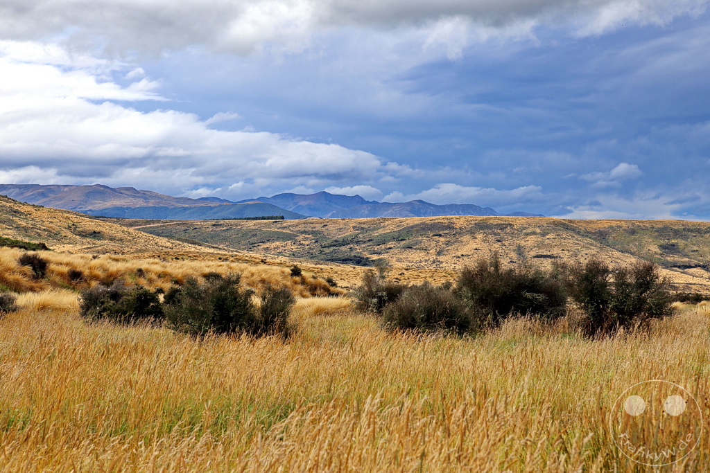 New Zealand South Island - Te Anau-Mossburn Hwy