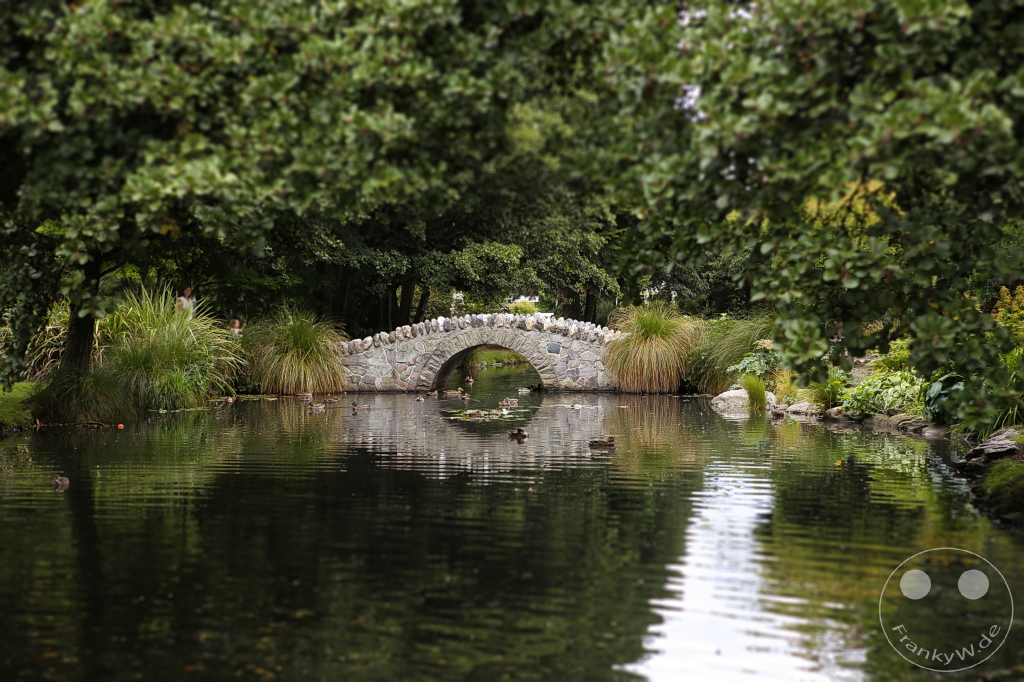 New Zealand South Island - Queenstown Gardens