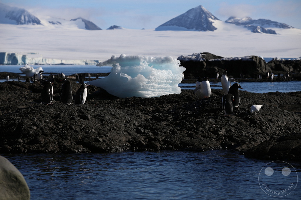 Antarktis - Fortín Sgto Cabral