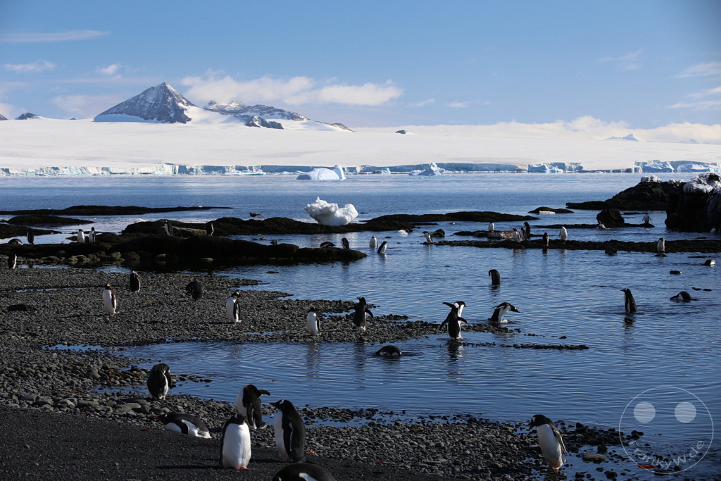 Antarktis - Fortín Sgto Cabral