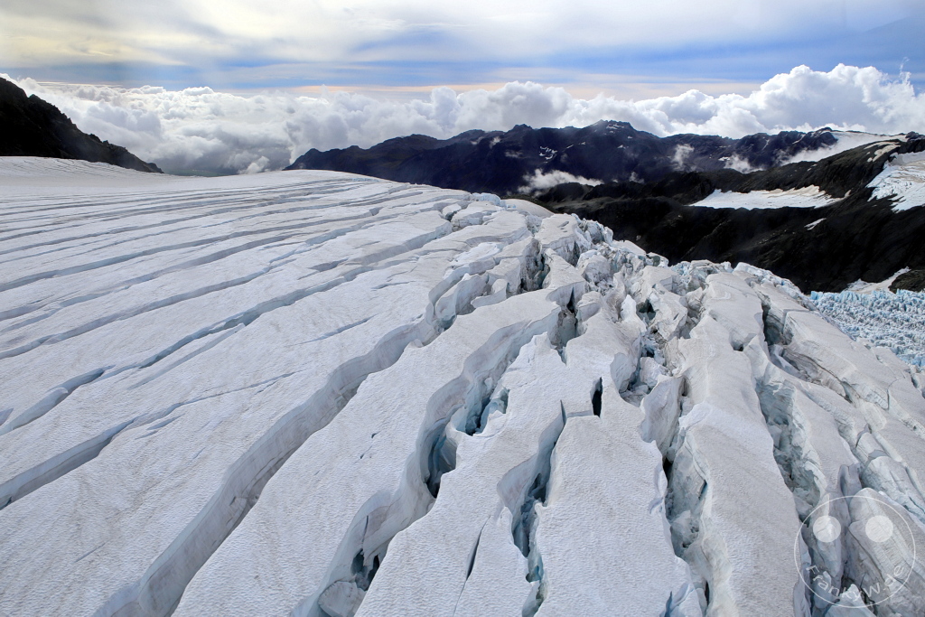 New Zealand South Island - Fox Glacier