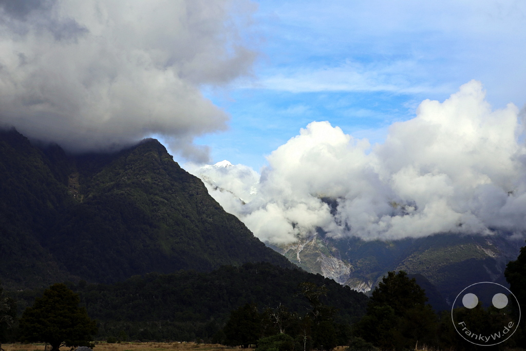 New Zealand South Island - Fox Glacier