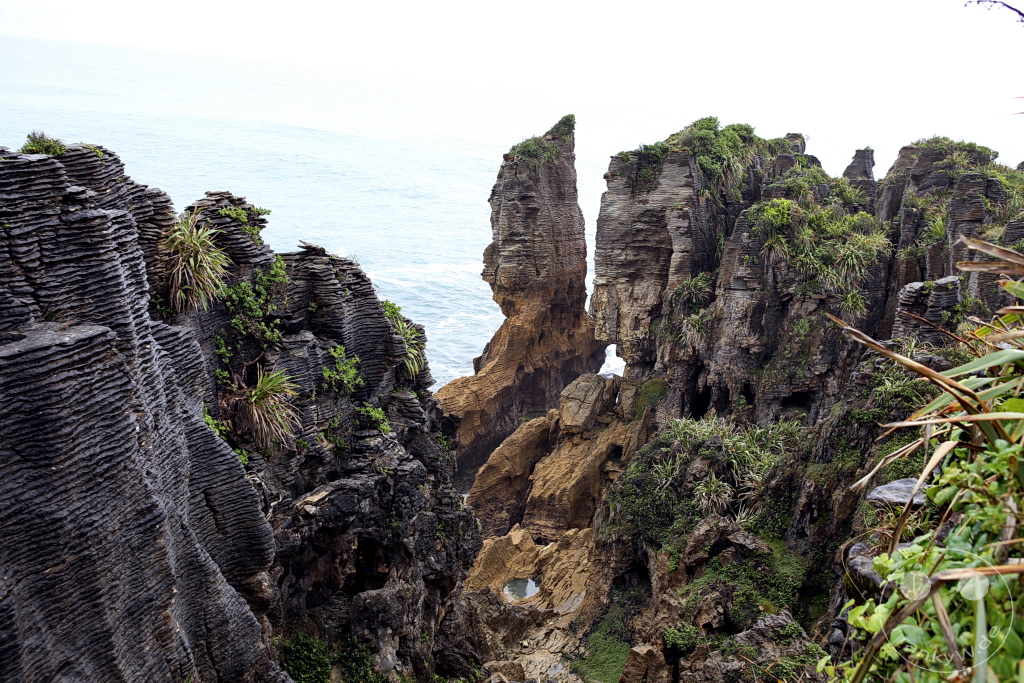 New Zealand South Island - Pancake Rocks