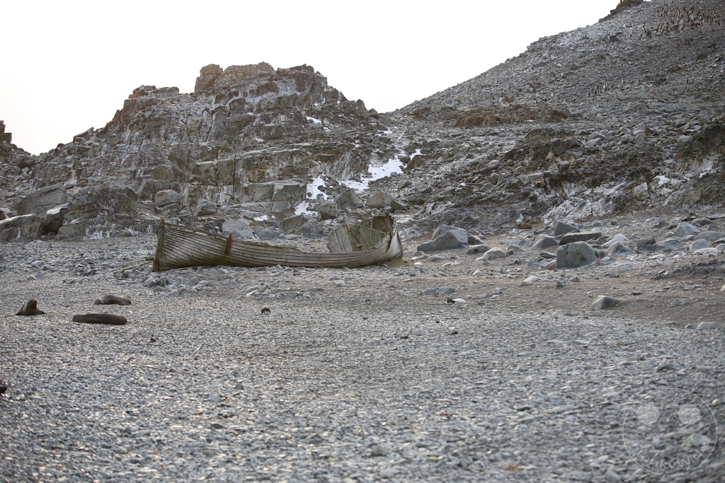 Antarktis - Half Moon Island