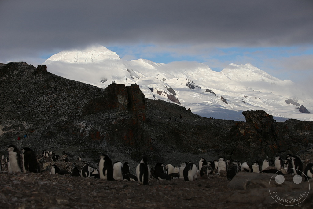 Antarktis - Half Moon Island