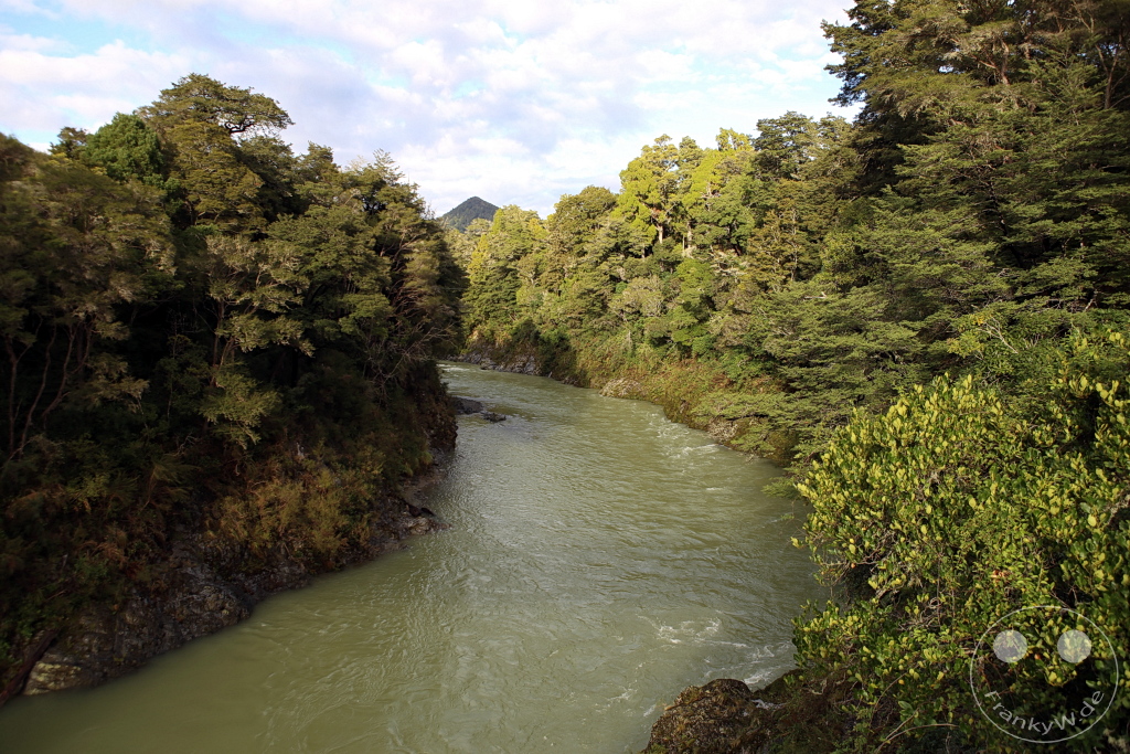 New Zealand South Island - Pelorus Bridge