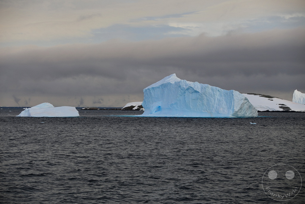 Antarktis - Cuverville Island