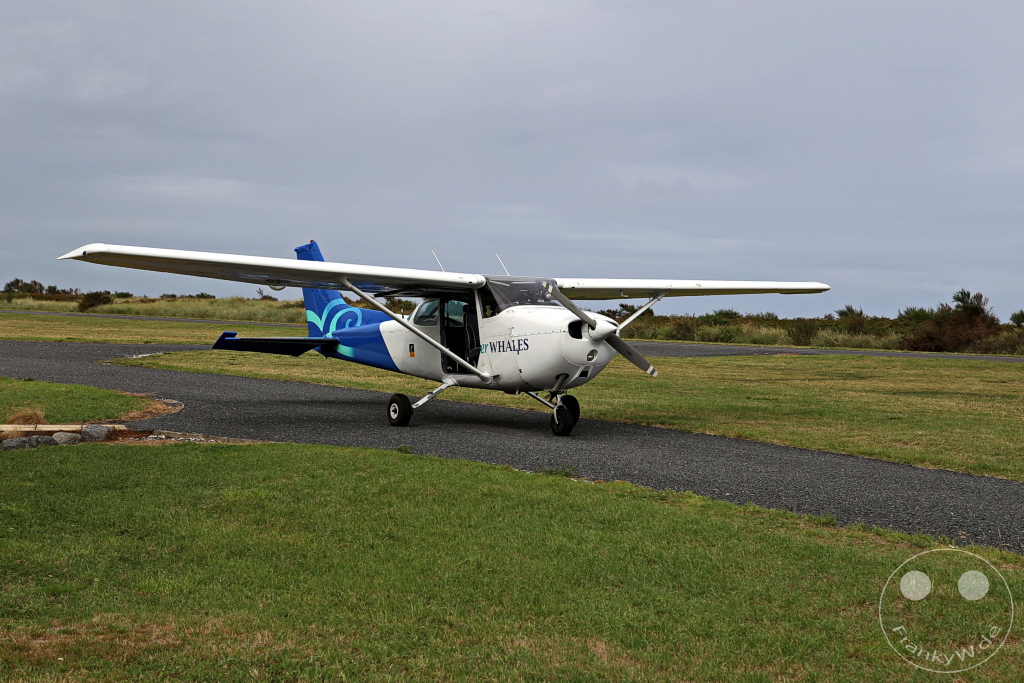 New Zealand South Island - Whale Watching - Kaikoura